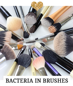 A must read for all makeup brush users - bacteria in brushes.
